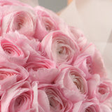 Blush Reverie