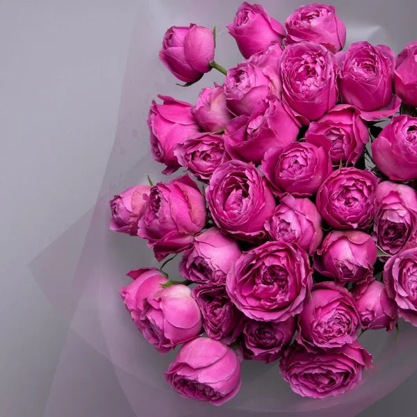 Hot Pink Lace spray roses