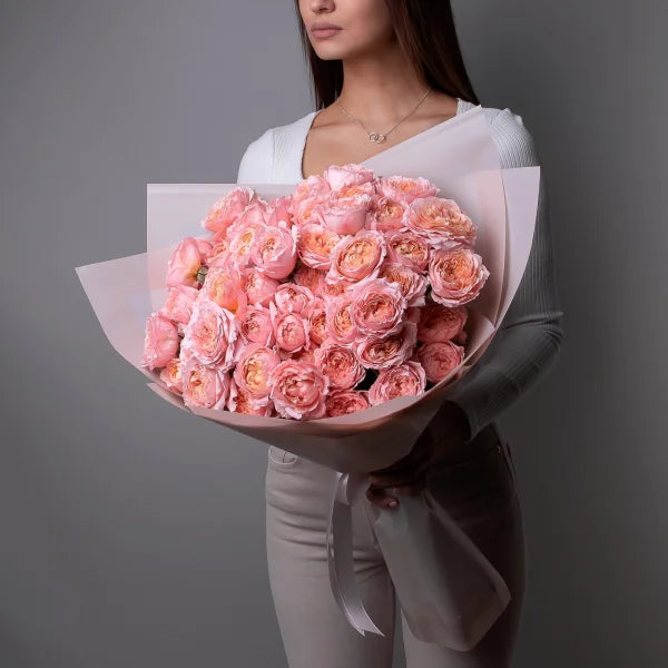 Peony Rose Aurora