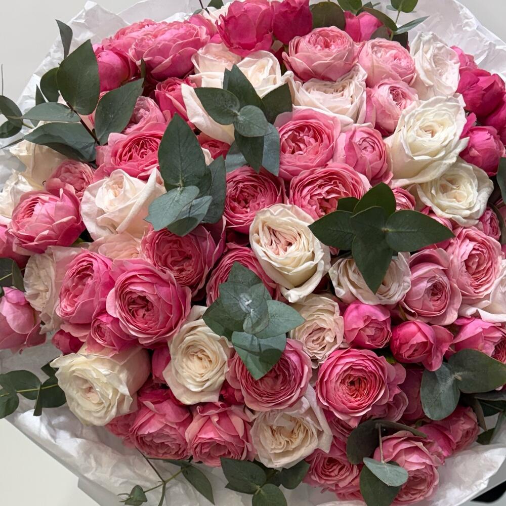 Peony & Ohara Duo