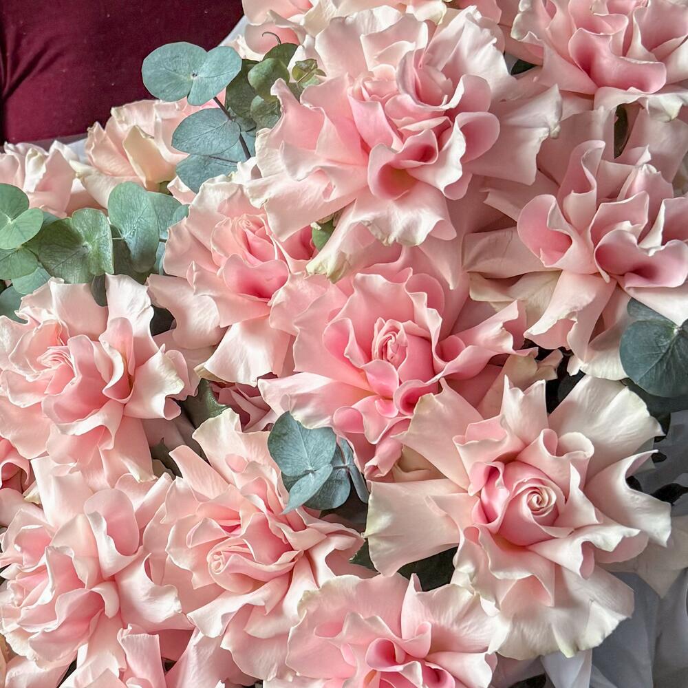 Pink Parisian Bloom