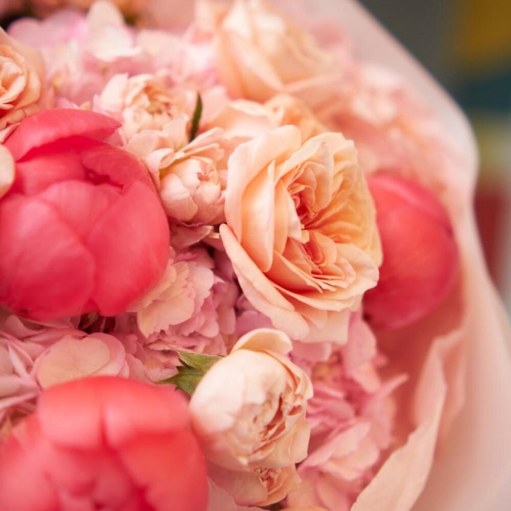 Rosé Peonia