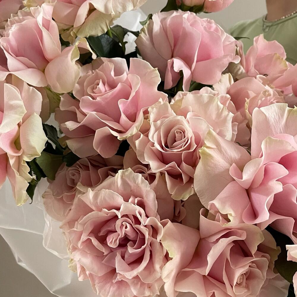 Velvet Pink Mondial