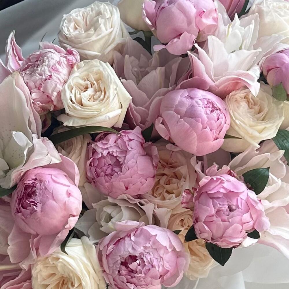 Peony lily & White O’Hara