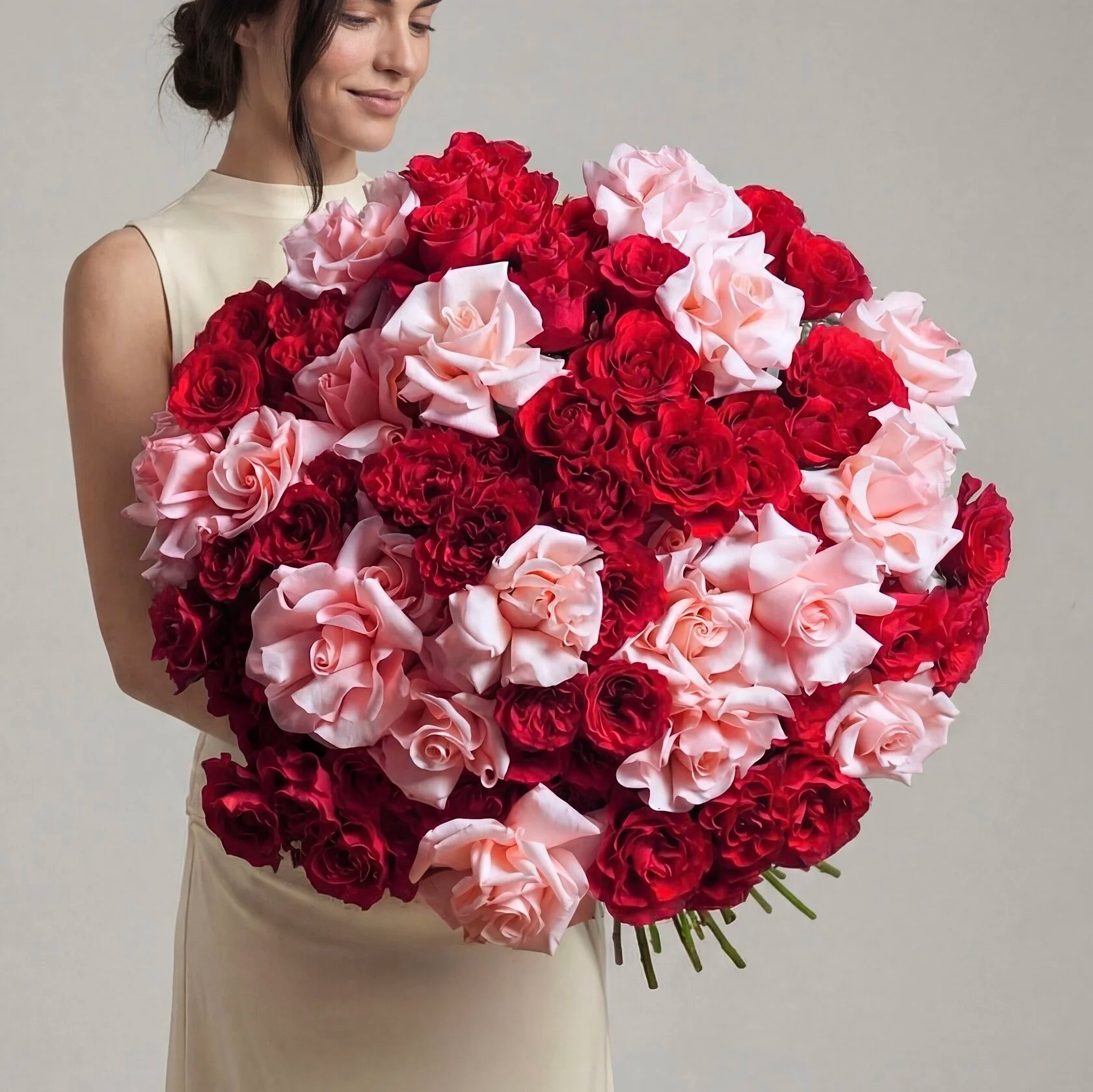 French Mondial Rose