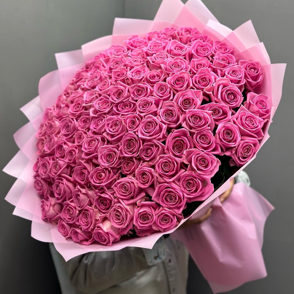 Pink Reverie 100
