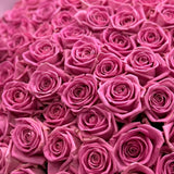 Pink Reverie 100
