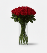Red Naomi in Vase