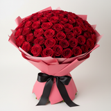 Red Velvet Bloom